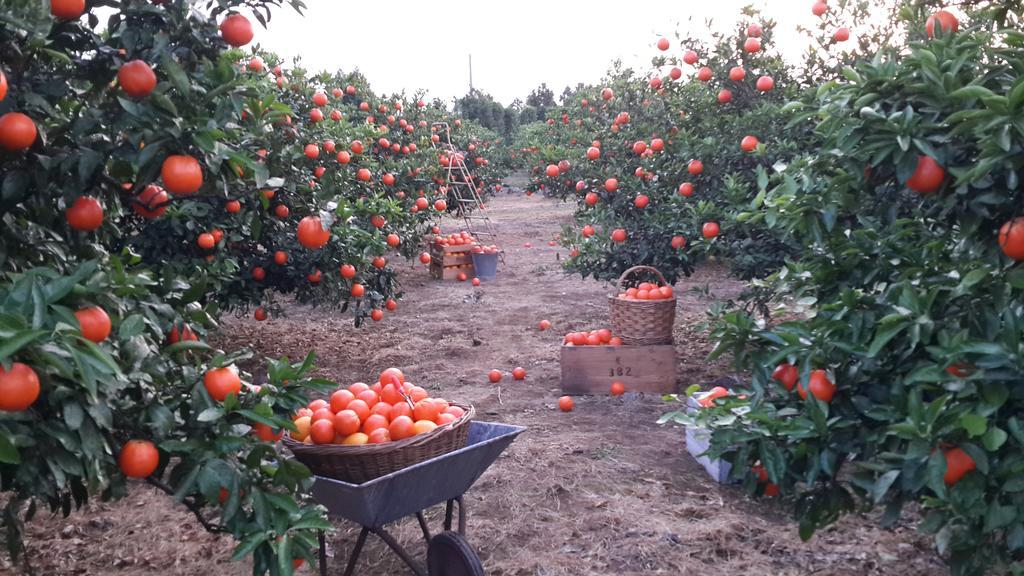 Banhakeura Pension Jeju Esterno foto